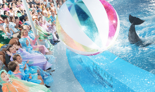 파타야 돌핀나리움 돌고래 쇼 티켓