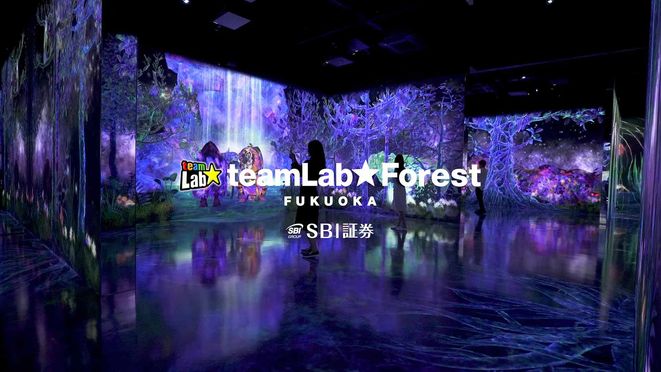 Boss E・ZO Fukuoka TeamLab Forest Ticket