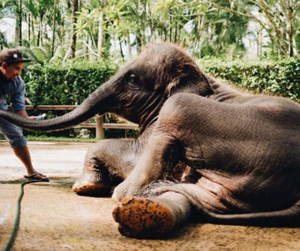 activity_detail_image