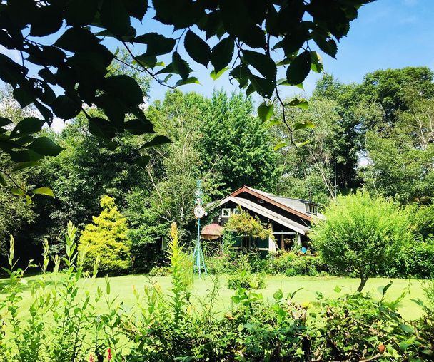 activity_detail_image