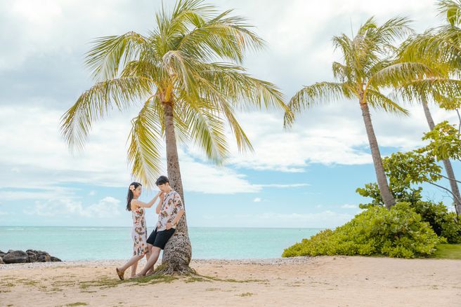 Hawaii Pictorial Snap Photo Tour