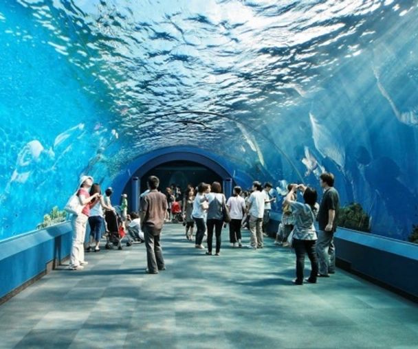 activity_detail_image