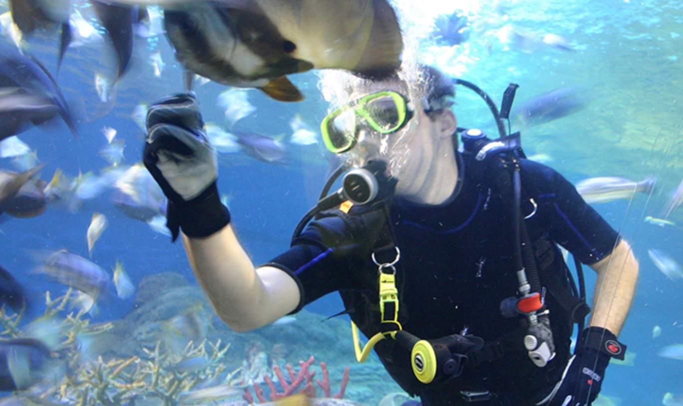 activity_detail_image