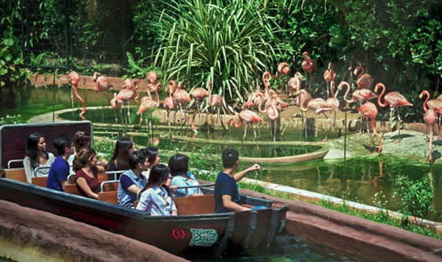 방콕 사파리 월드 입장권 (파크 선택 가능)