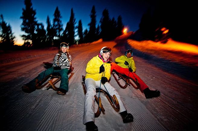 Switzerland: Night Sledding in the Swiss Alps