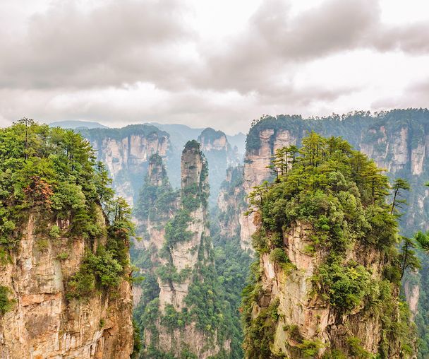 activity_detail_image