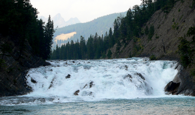 [4박5일] 캘거리 출발: 여름 로키 완전 정복! 밴프 & 레이크 루이스, 모레인 재스퍼 투어