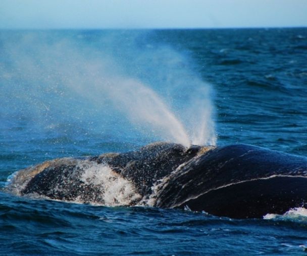 activity_detail_image