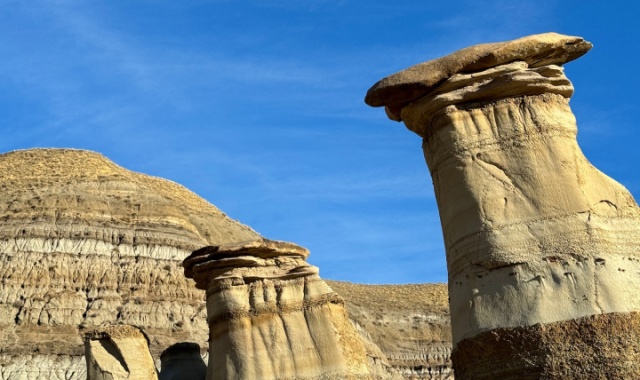 캘거리 드럼헬러 홀스슈 캐년 & 후두스, 로열 티렐 박물관 일일 투어