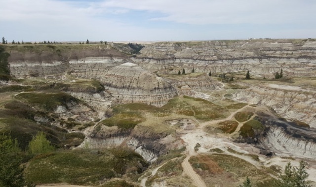 캘거리 드럼헬러 홀스슈 캐년 & 후두스, 로열 티렐 박물관 일일 투어