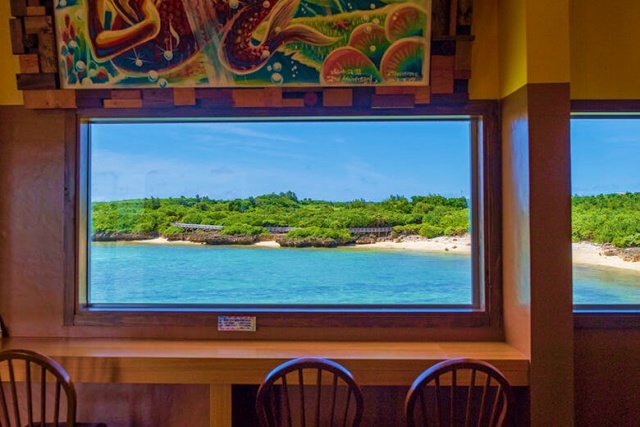 宮古島海中公園入場チケット