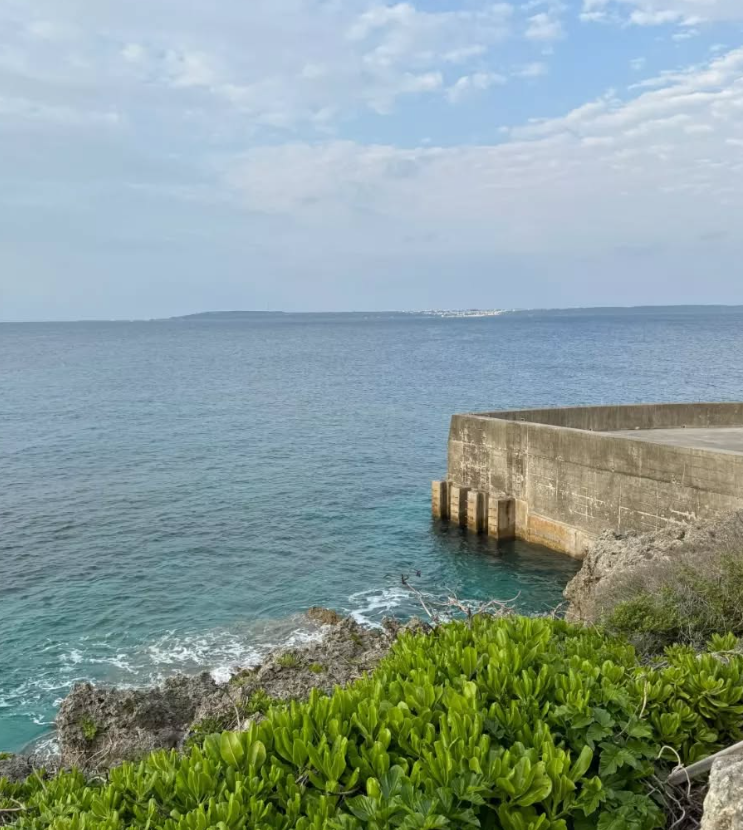 宮古島海中公園入場チケット