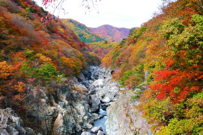 Nikko Imaichi & Kinugawa Bus Pass 1-Day Ticket