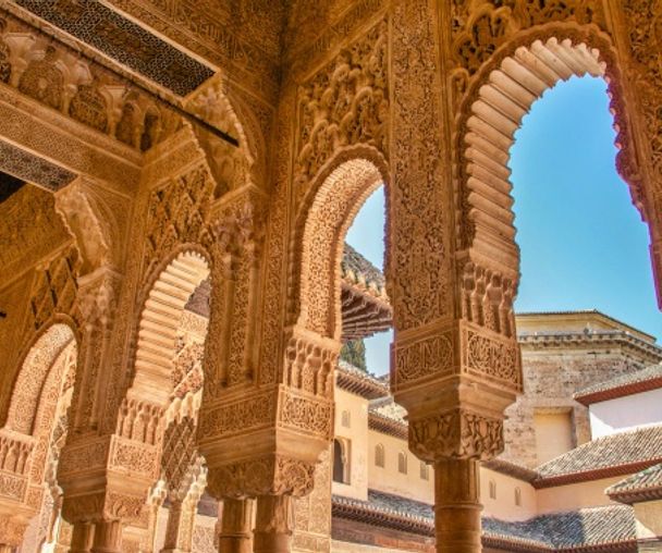 activity_detail_image