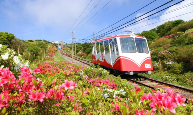 Shizuoka Jukkoku Cable Car Round Trip Ticket (Shizuoka)