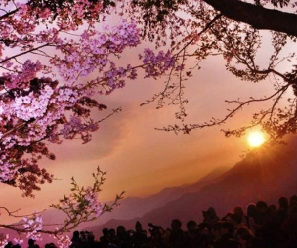 activity_detail_image