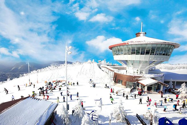 강원 정선 하이원리조트 25/26 리프트권