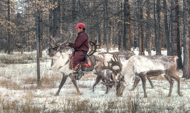 [노라투어] [7박8일] 몽골 홉스골 단독 코스! 진짜를 만나는 동화 같은 홉스골&테를지 투어