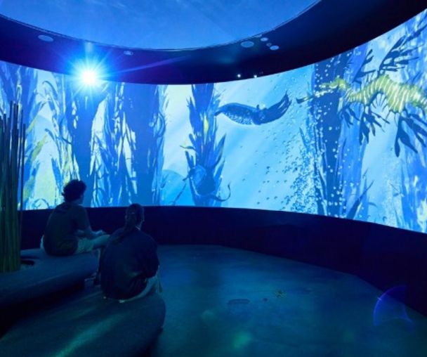 activity_detail_image