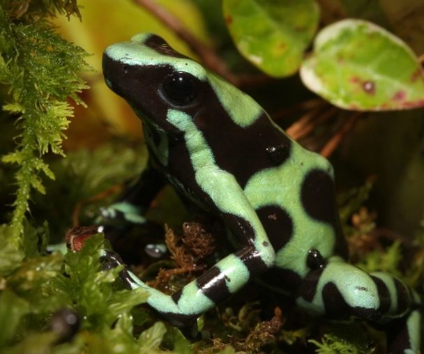 activity_detail_image