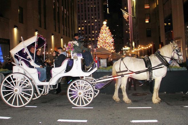 ニューヨーク・クリスマス馬車乗りツアー