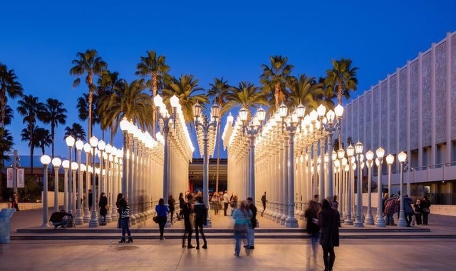 평범한 투어에 자유를 추가한 LA 단독 투어