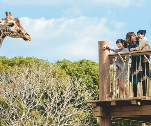 activity_detail_image