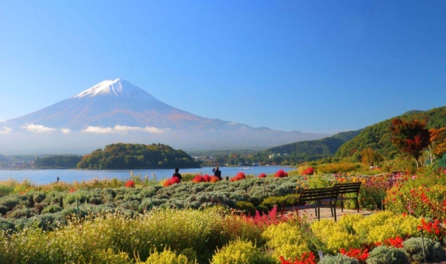 Mt. Fuji & Suntory Hakushu Distillery Day Tour