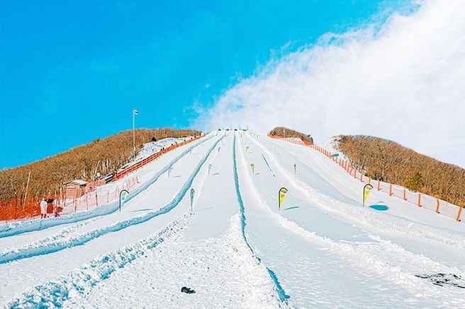 강원 정선 하이원리조트 25/26 스노우월드 & 눈썰매장