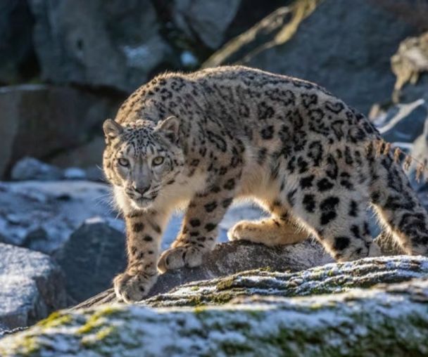 activity_detail_image