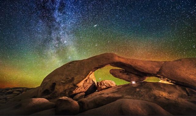 [모던투어] LA 출발: 조슈아트리 & 팜스프링 별이 쏟아지는 별보기 투어