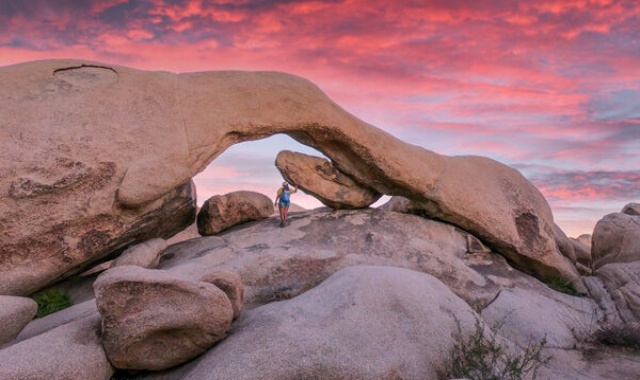[모던투어] LA 출발: 조슈아트리 & 팜스프링 별이 쏟아지는 별보기 투어