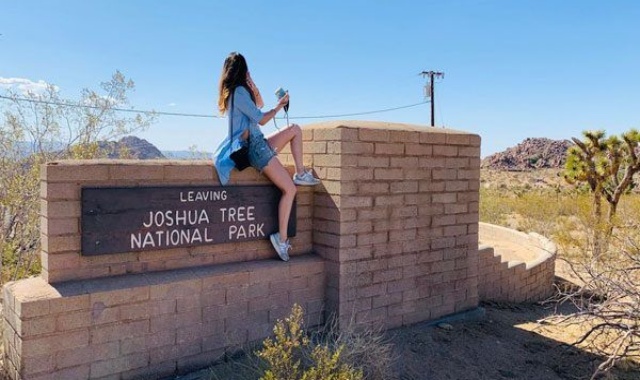 [모던투어] LA 출발: 조슈아트리 & 팜스프링 별이 쏟아지는 별보기 투어