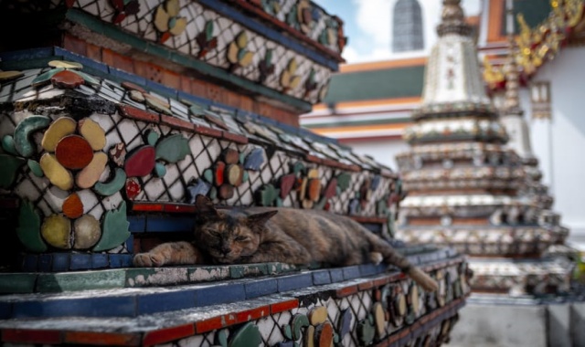 Bangkok Grand Palace & Wat Pho & Wat Arun Private Tour (Hotel Pickup & Drop-off)