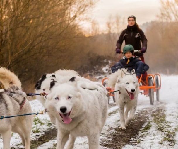 activity_detail_image