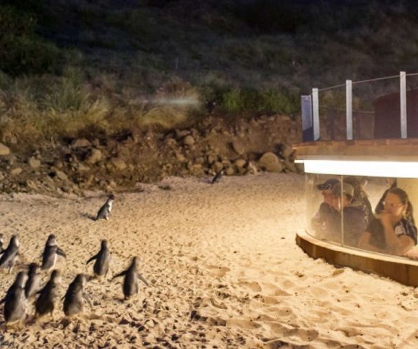 activity_detail_image