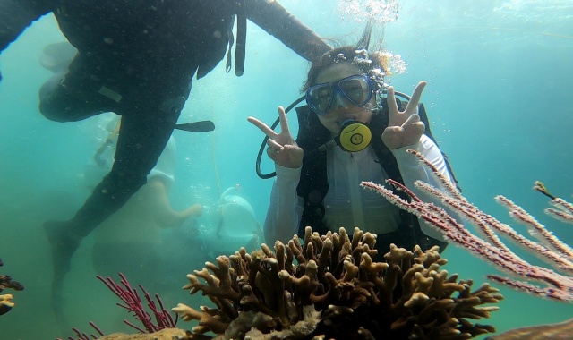 나트랑 YOLO 욜로 선상 파티 호핑 + 머드 스파 투어