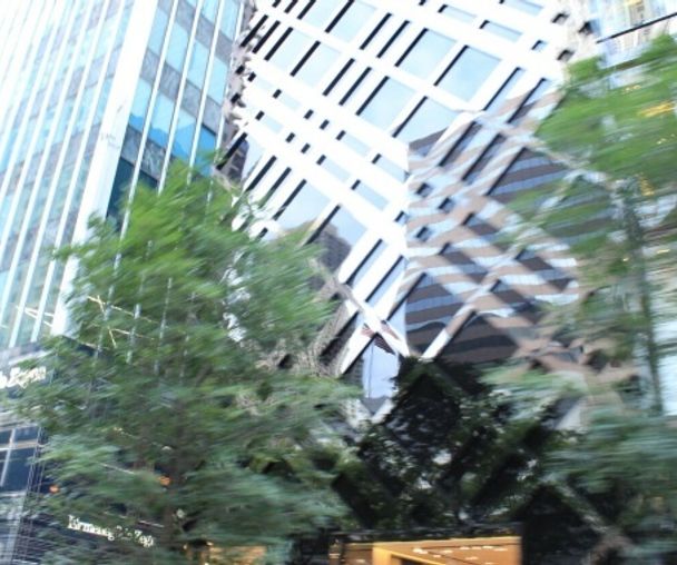 activity_detail_image