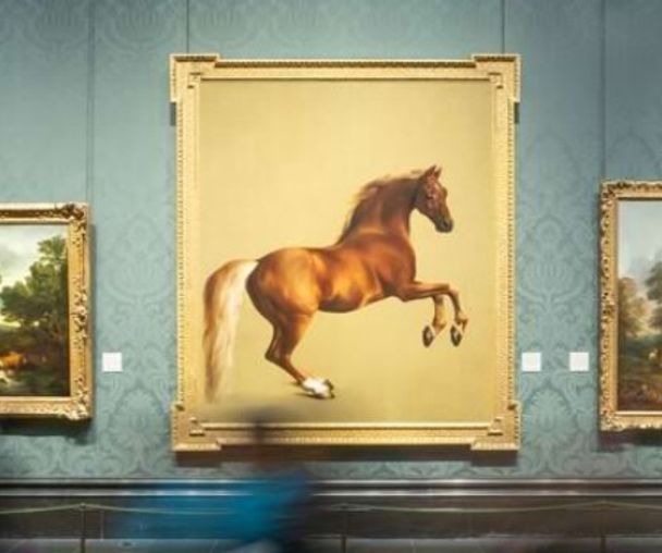 activity_detail_image