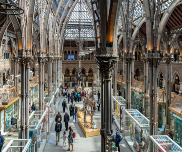 activity_detail_image