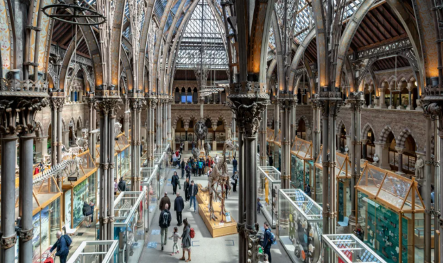 [더트리퍼] 스톤헨지 & 코츠월드 & 옥스포드 16인승 차량 투어