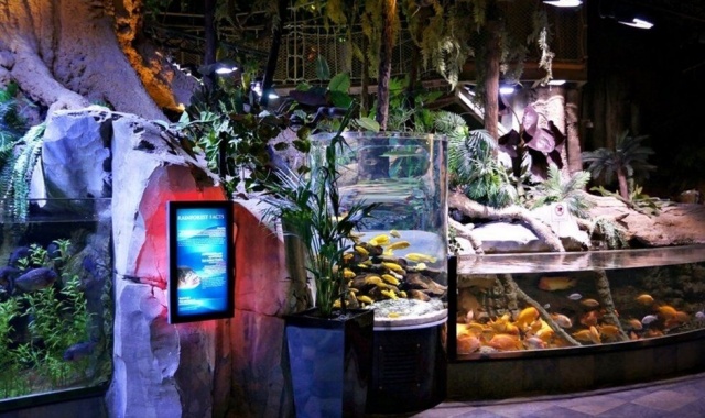 두바이 아쿠아리움 & 언더워터 주 통합 입장권