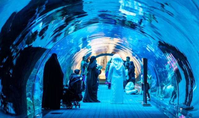 두바이 아쿠아리움 & 언더워터 주 통합 입장권