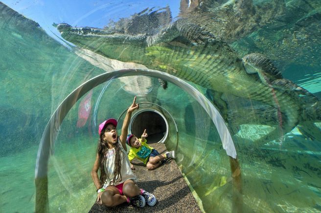 マイアミ動物園 優先入場チケット