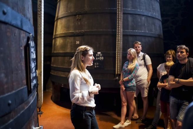 Porto: Cálem Winery Guided Tour & Wine Tasting