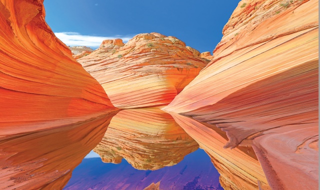 [참이슬] [당일투어] 불의 계곡 + 웰컴사인 초특급 패키지 투어