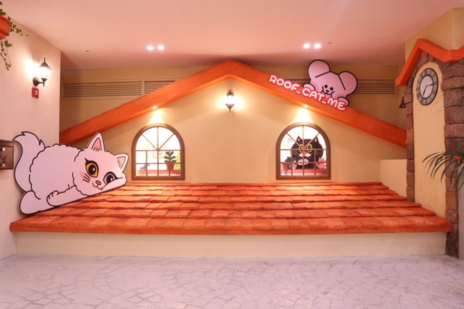 ソウル「ループキャットミー」猫カフェ 弘大店 平日入場券