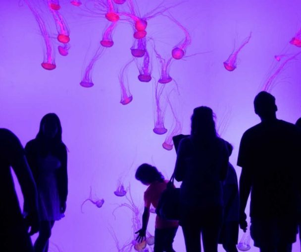 activity_detail_image