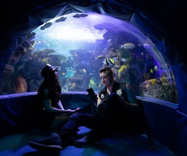 activity_detail_image