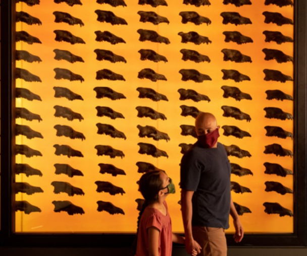 activity_detail_image